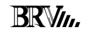 BRV Logo